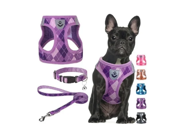 Scenereal Small Dog Harness And Leash Collar Set… Coupon