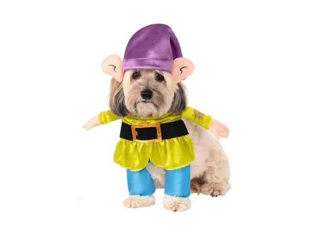 Rubies Disney Snow White And The Seven Dwarves… Coupon