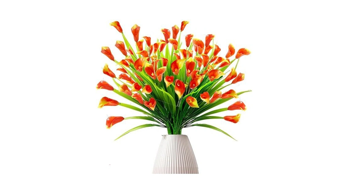 Verified image for post 229714