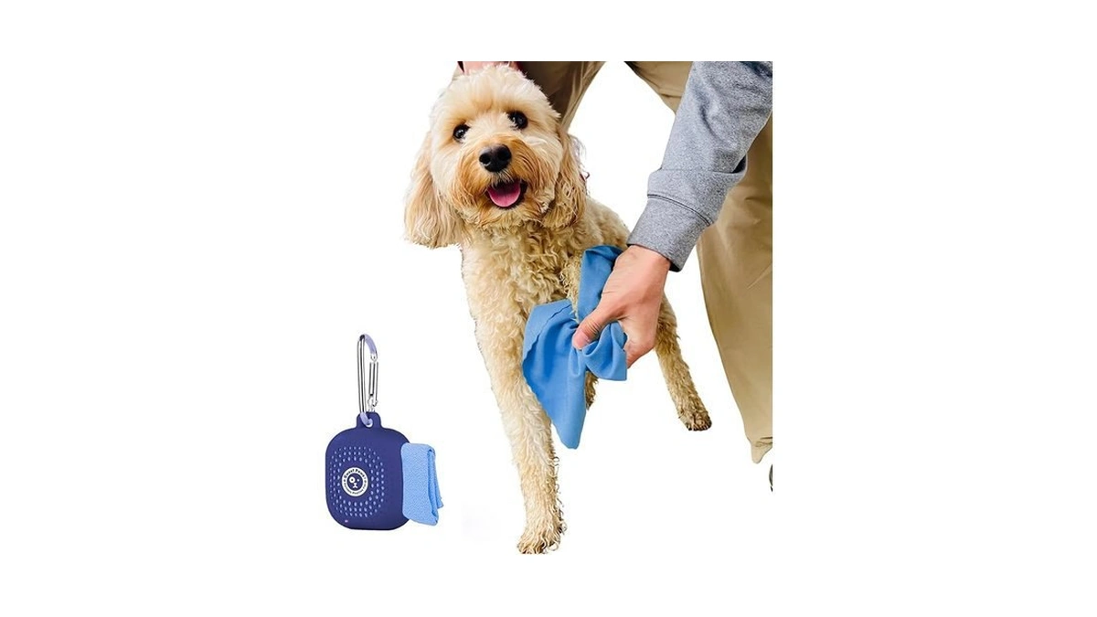 Verified image for post 230213