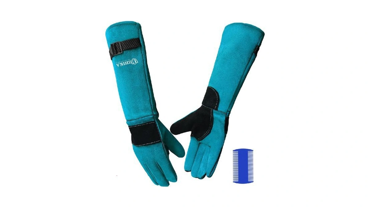 Verified image for post 230359