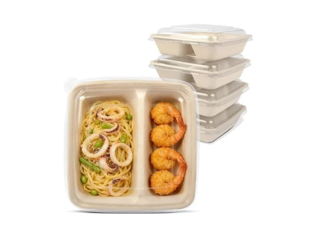 Celel 2 Compartment 8×8 Inch Disposable Food… Code