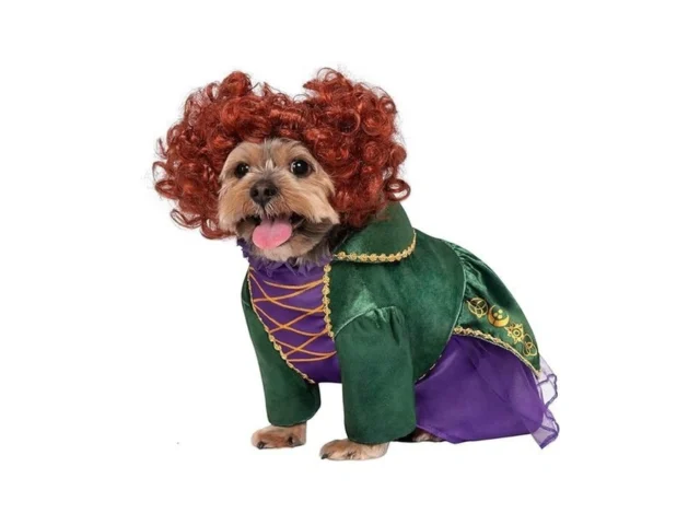 Rubies Disney Hocus Pocus Winifred Sanderson Pet… Coupon