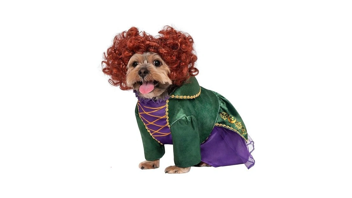 Verified image for post 233069