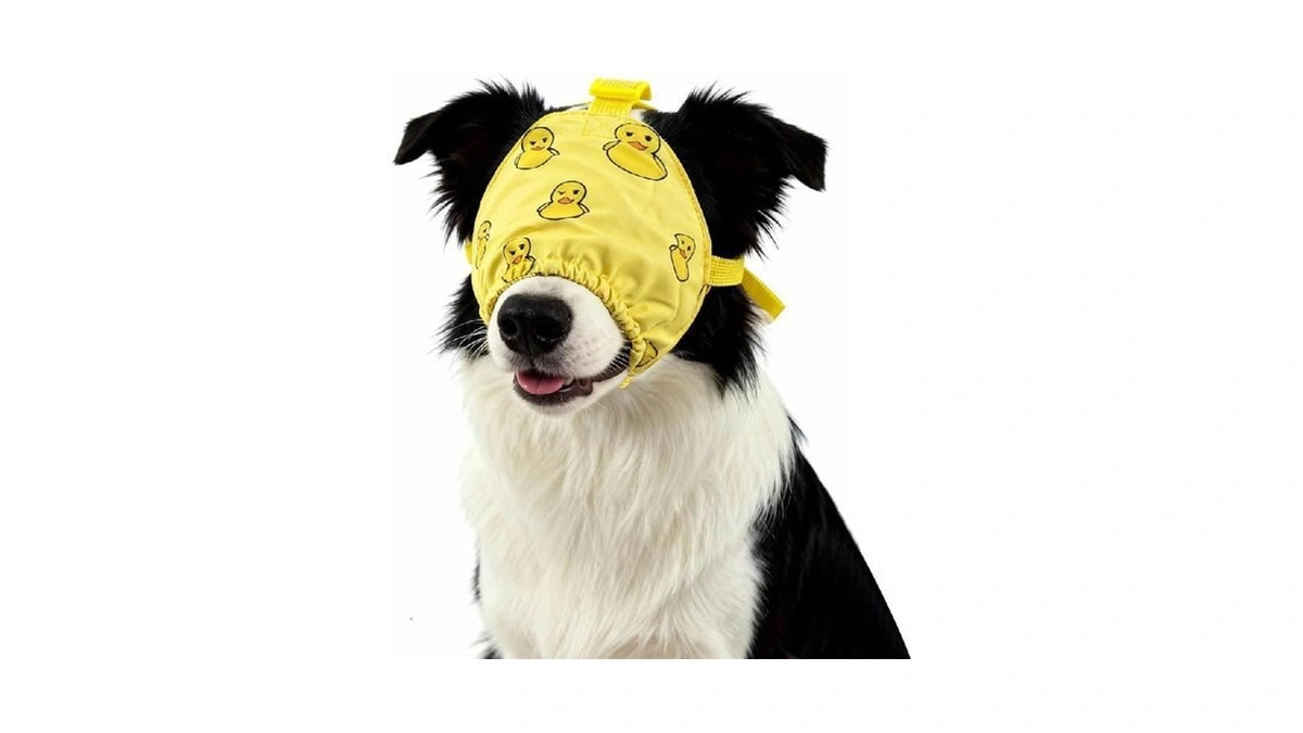 Verified image for post 233197