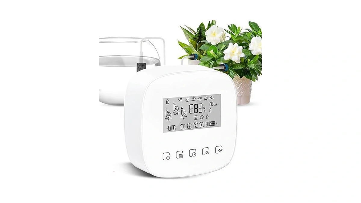 Verified image for post 233421