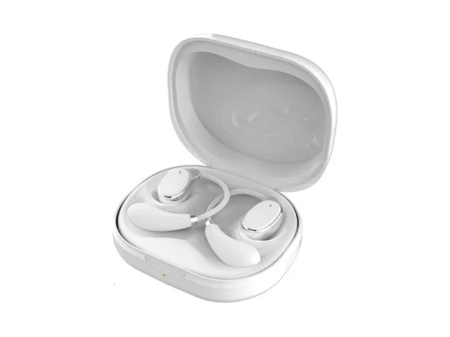 Ottffss Ai Translation Earbuds Real Time With 5 4… Code