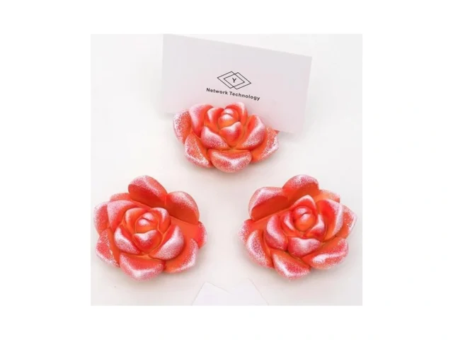 Wowhalolo Resin Cute Succulent Business Card Holder…