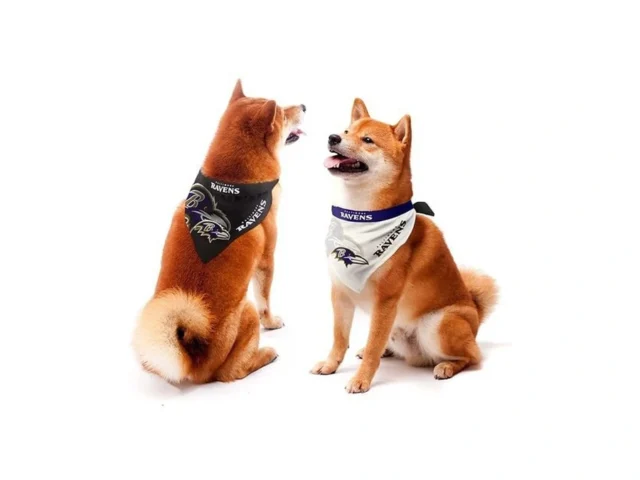Littlearth Baltimore Ravens Home And Away Pet… Coupon