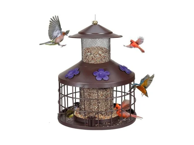Squirrel Proof Bird Feeder With 3 Water Cups 4 2lb… Code
