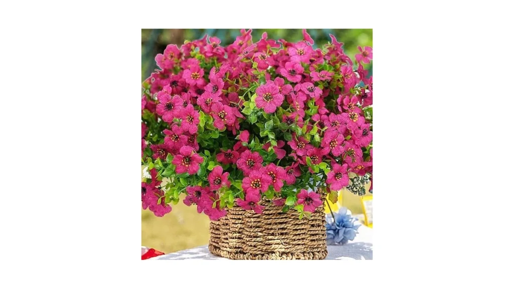 Verified image for post 237115