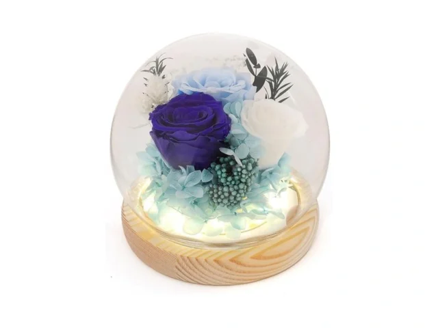 Guoboycl Preserved Flowers Eternal Roses In Glass… Code
