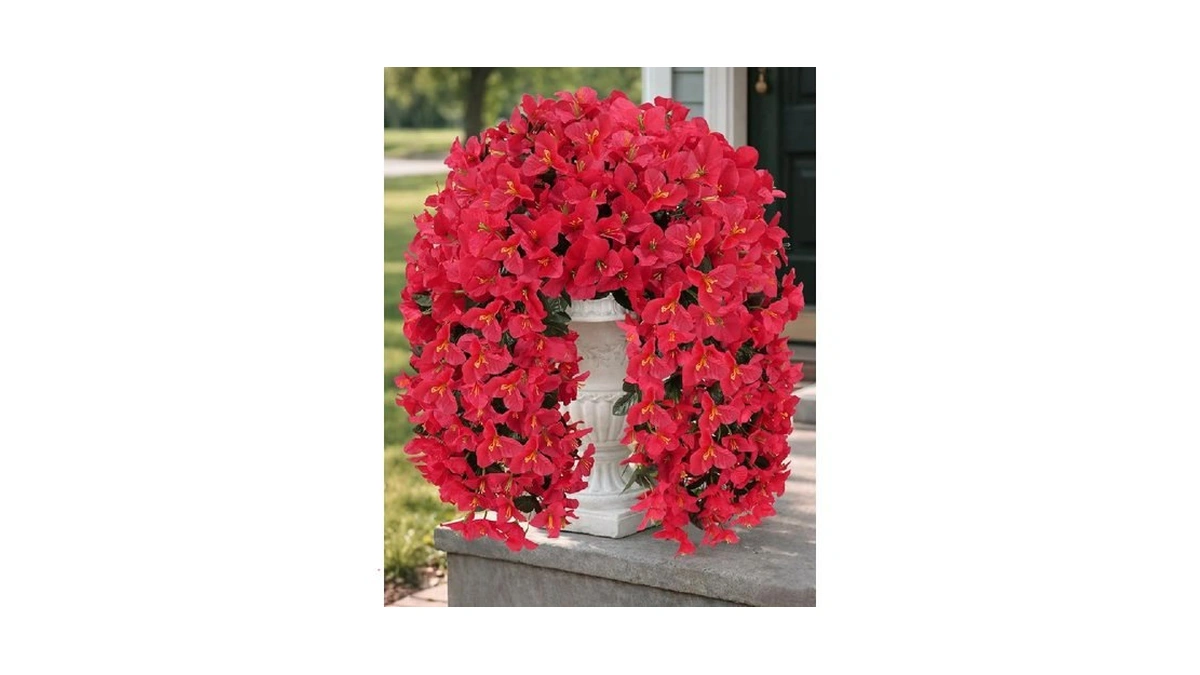 Verified image for post 238513