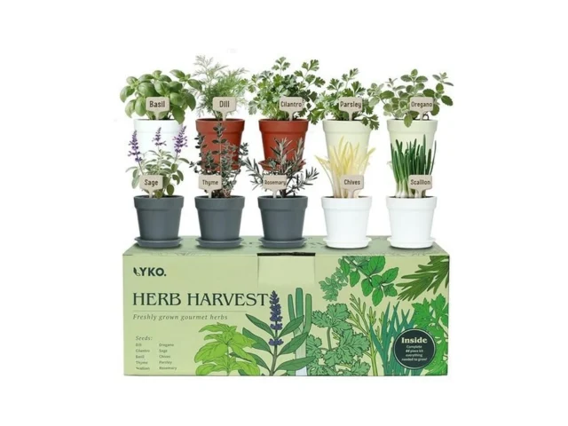 10 Indoor Herb Garden Kit 33pcs Complete Kitchen… Code