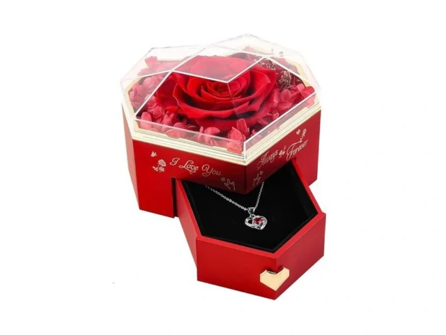 Minstely Real Preserved Rose And Necklace Gifts Set…