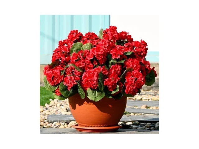 Waipfaru 6 Pcs Artificial Fake Flowers For Outdoors… Code