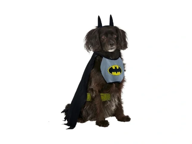 Dc Comics Superheroes Batman Pet Costume For Dogs… Coupon