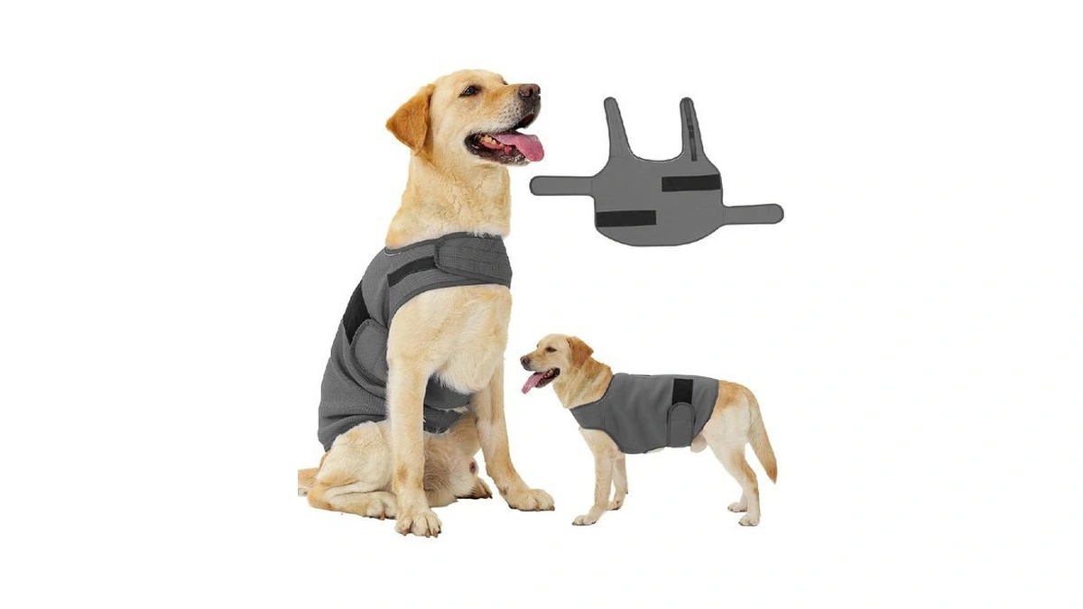 Verified image for post 241329