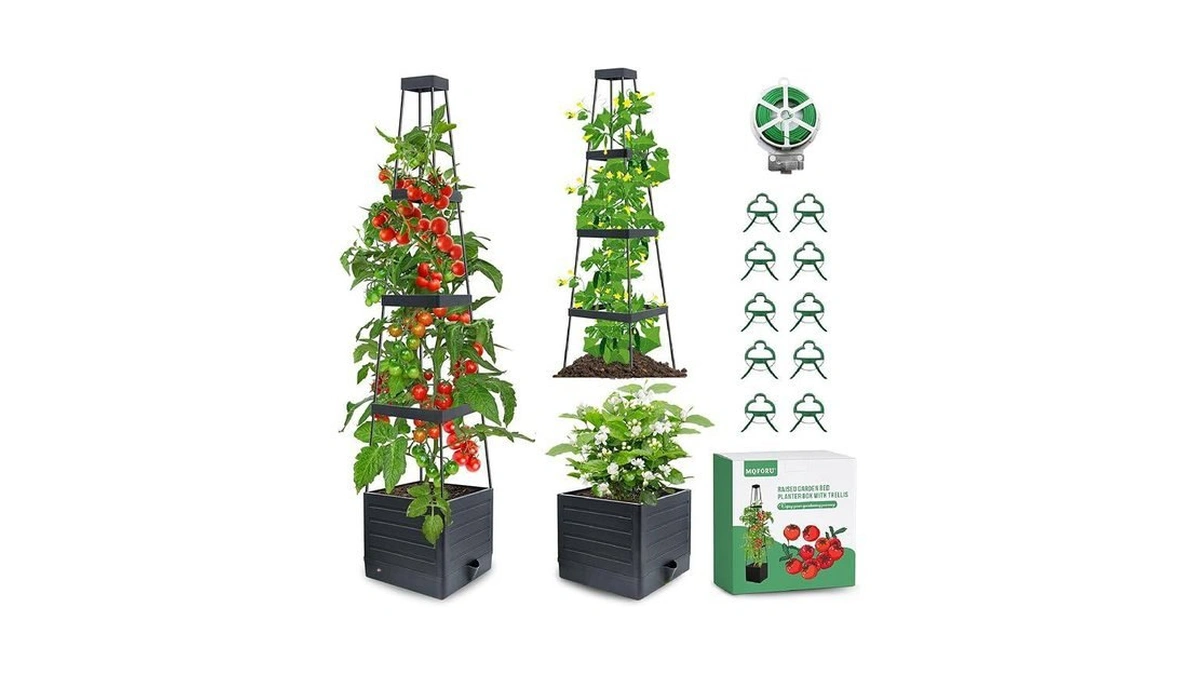 Verified image for post 244437