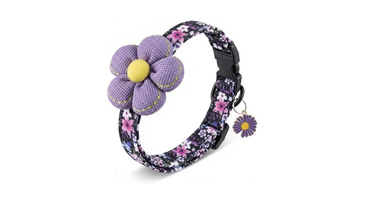 Verified image for post 244573