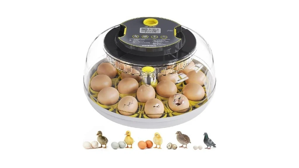 Verified image for post 244675