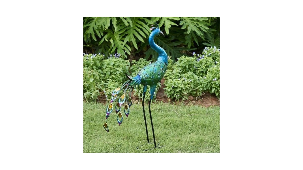 Verified image for post 244735