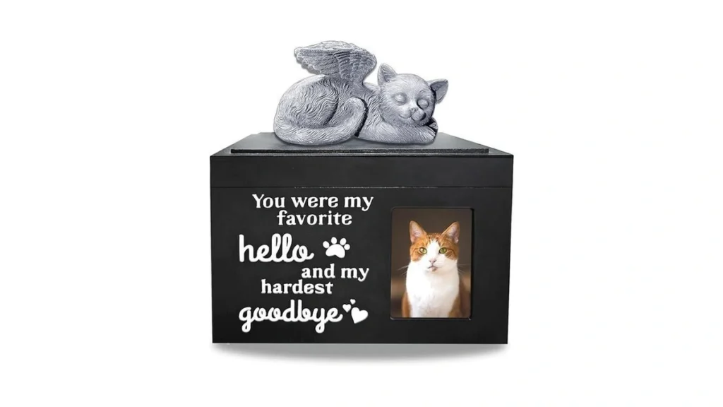 Verified image for post 244809