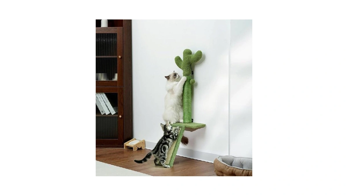 Verified image for post 245217