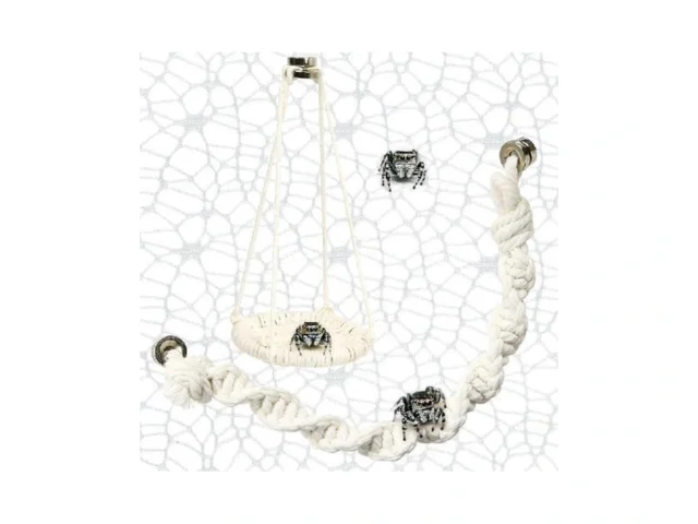 3 Pcs Jumping Spider Rope Bridge Natural Cotton… Code