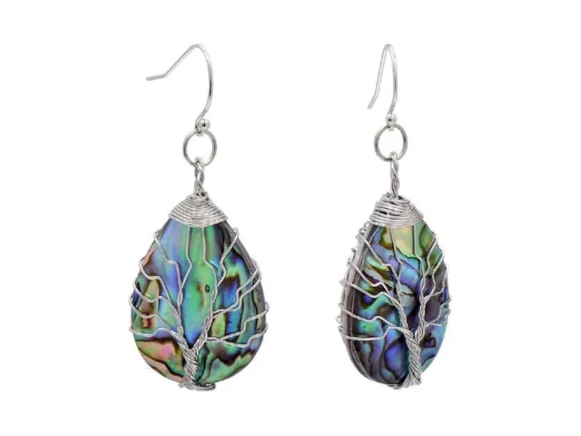 Teardrop Abalone Shell Dangle Earrings For Women… Coupon