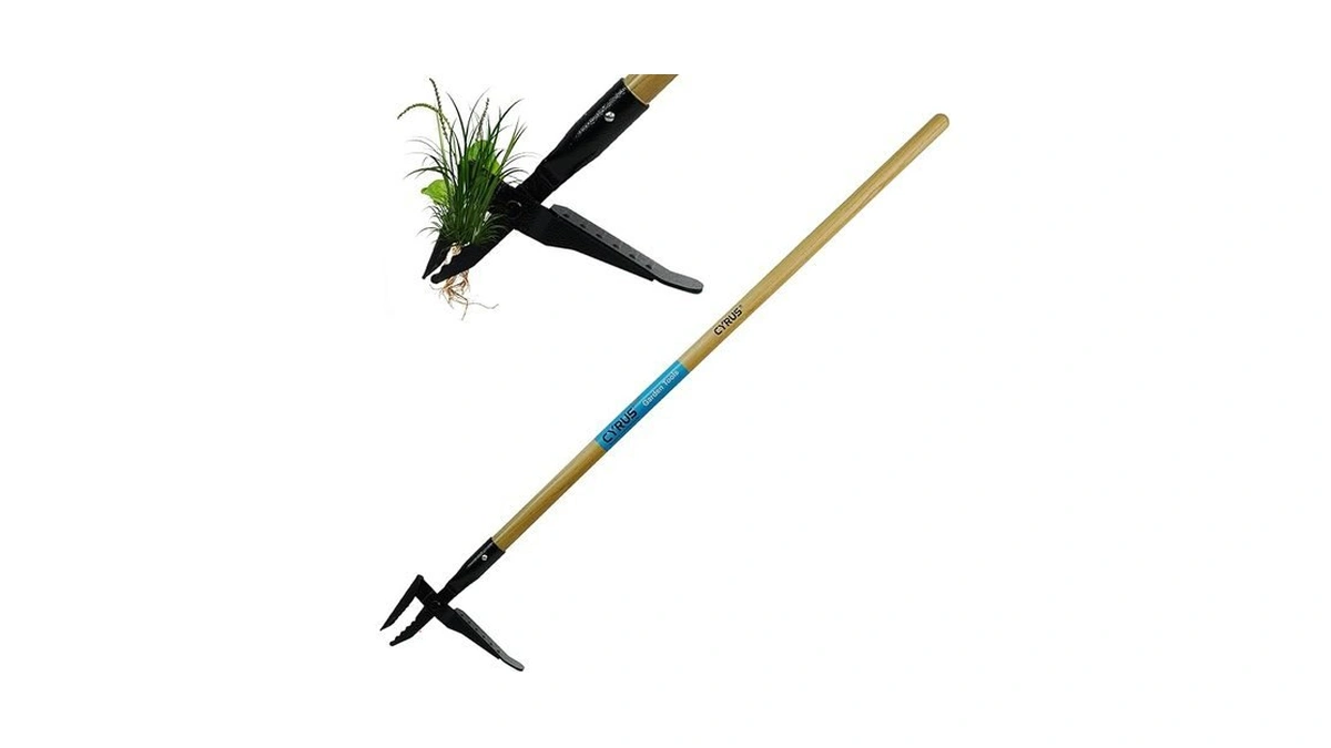 Verified image for post 245365