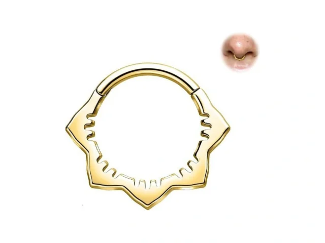 Bodyace 16g Septum Rings Hinged Nose Clicker Flower…