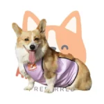 Verified image for post 246029