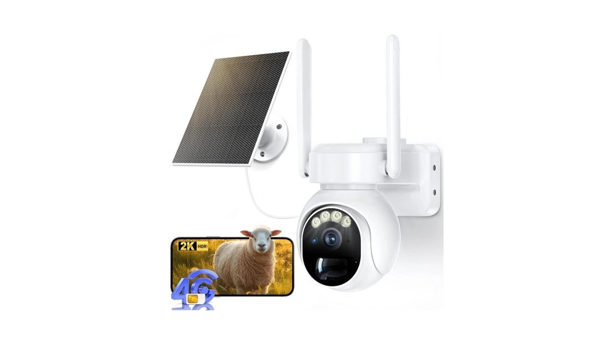 Verified image for post 246829