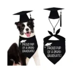 Verified image for post 246957