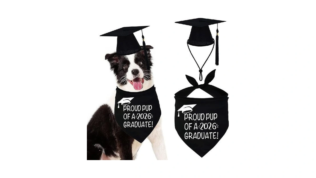 Verified image for post 246957