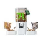 Verified image for post 247303