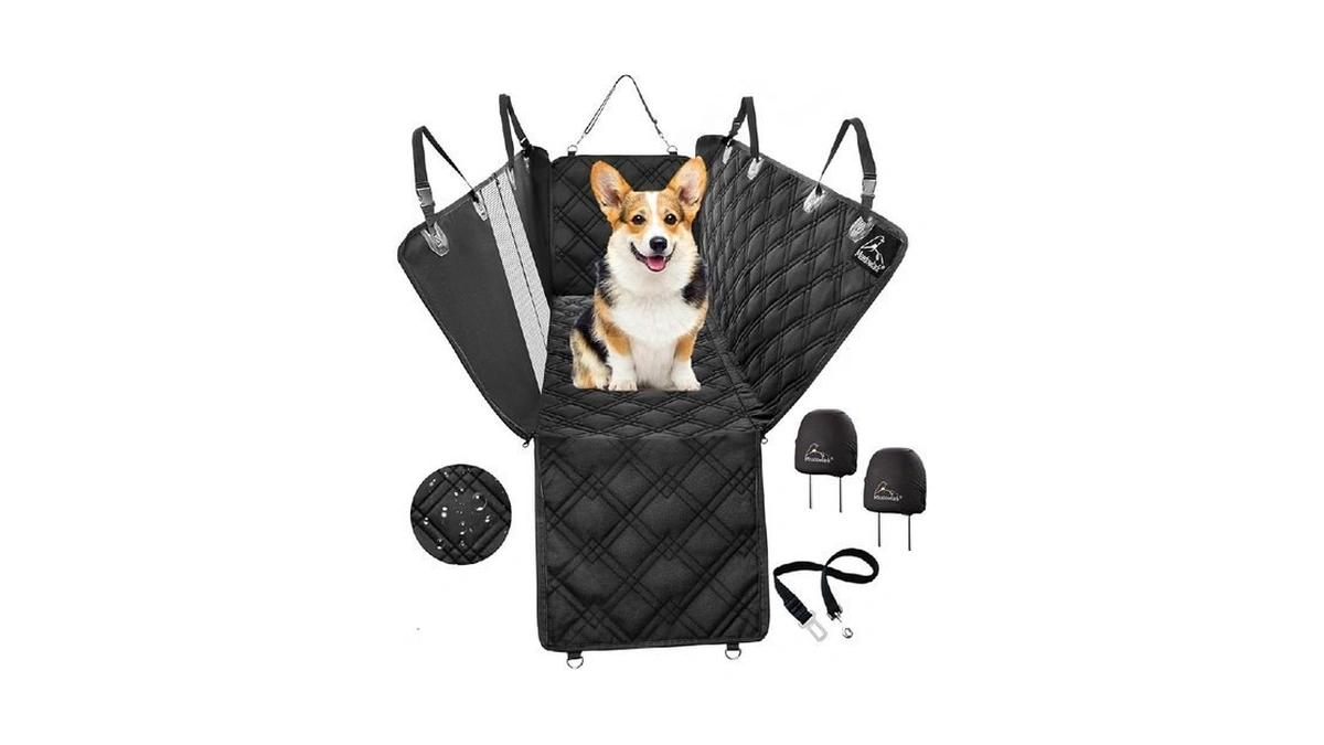 Verified image for post 247785