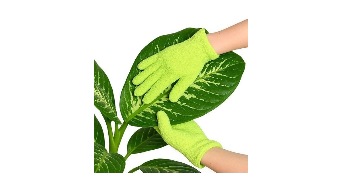 Verified image for post 247917