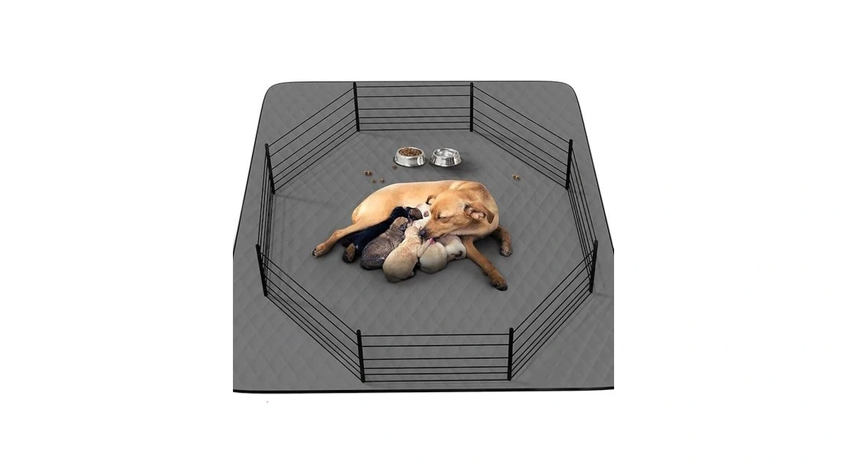 Verified image for post 248627