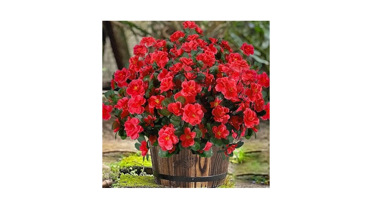 Verified image for post 248661