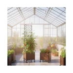 Verified image for post 248743