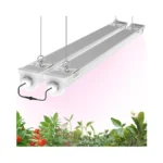 Verified image for post 249341