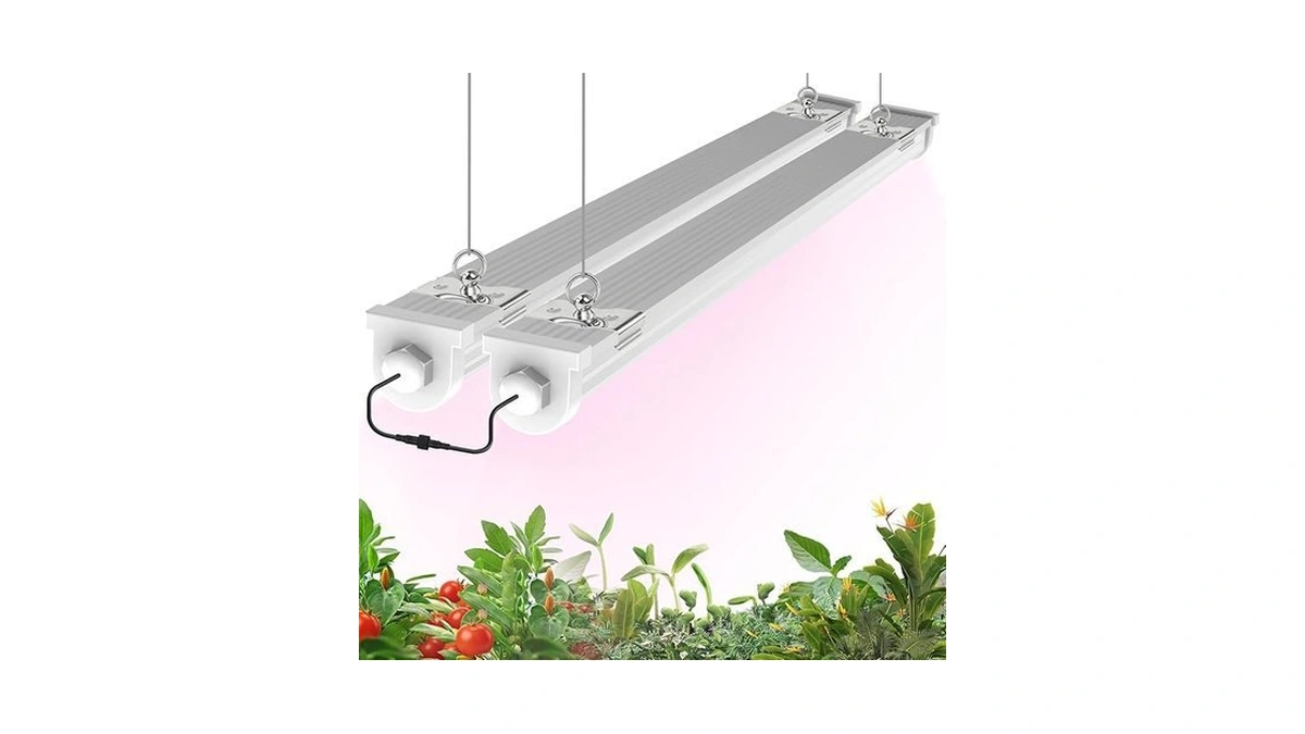 Verified image for post 249341