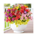 Verified image for post 250439