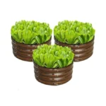 Verified image for post 250443