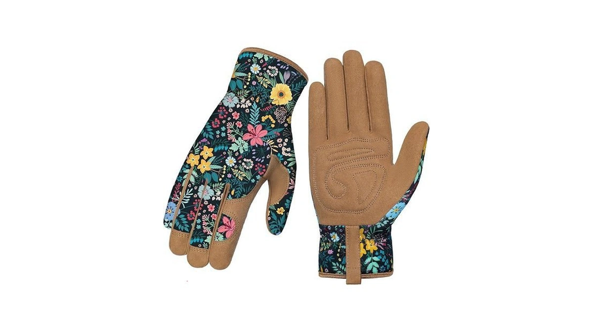 Verified image for post 250447