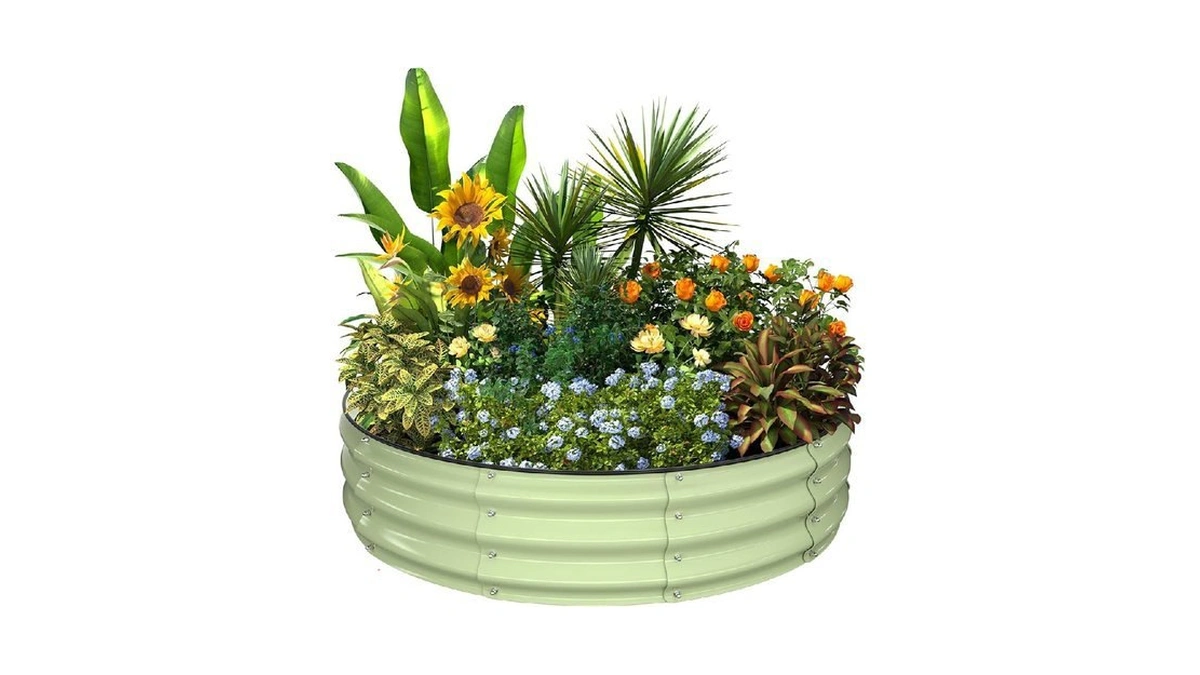 Verified image for post 251481