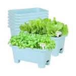 Verified image for post 251583