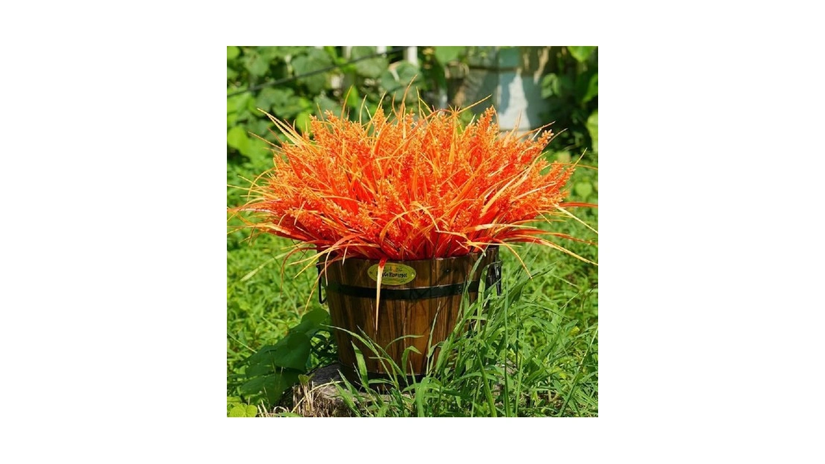 Verified image for post 251883